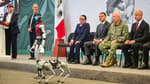 Conoce a Ceci y al cachorro K7, los robots del C5 que ayudan a combatir el crimen en Edomex