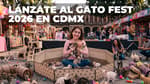 Michis en adopción, comida, bazar y más en el Gato Fest 2026 en CDMX: ¿cuándo y dónde será?