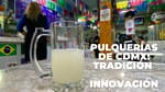 Una tradición ‘curada’ con innovación: pulquerías de CDMX podrían dar un “nuevo giro”