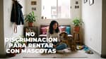 ¿Rentas en CDMX? Habrá protección a inquilinos con mascotas y registro digital de contratos