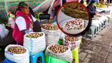 ¡Para tus chiles en nogada! Ya viene la Feria de la Nuez 2025 con comida, artesanías y conciertos