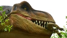 ¿Dónde ver fósiles y dinosaurios en CDMX? Lánzate a esta expo jurásica gratuita