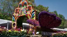 Feria de las Flores 2025 en CDMX: tendrá dalias, orquídeas, a Los Askis, la Sonora Santanera y más gratis