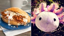 Comida típica, joyas, ropa y productos locales en festival artesanal de CDMX