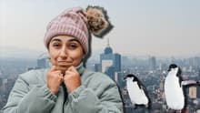 ¡Hasta ver pingüinos! Clima en CDMX se pondrá muy frío desde este fin de semana; checa el pronóstico