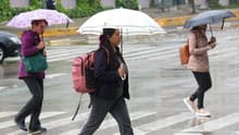 Clima en CDMX y Edomex hoy: prevén lluvias y frío; checa el pronóstico para toda la semana