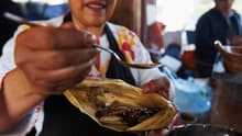 Habrá tamaliza en Los Pinos con atole y 80 sabores de tamales: cochinita, chapulín, romeritos y más