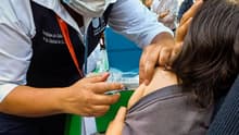 Vacunación contra el sarampión: estos son los grupos y estados prioritarios