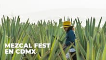 Mezcal Fest 2026 en CDMX: mezcalito, arte, música y buena onda