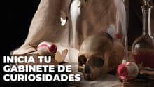 Café, postre y murciélagos: participa en este taller de taxidermia textil en CDMX