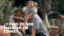 ¿Cómo es ser therian en la CDMX? Así es la vida de una joven que se identifica con un animal