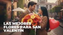 ¿Rosas o tulipanes? Las mejores flores para regalar en San Valentín 2026