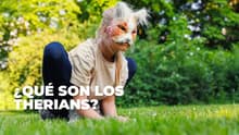 ¿Qué son los Therians? Estas son las diferencias clave con los Furros