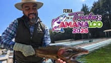 Feria de la Trucha Amanalco 2026: más de 20 platillos, concursos y conciertos gratis