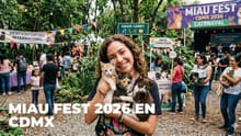 Gatitos en adopción, comida y más en el Miau Fest 2026 en CDMX: ¿cuándo y dónde será?