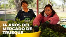 Mercado de Trueque en CDMX: intercambia reciclables por comida, plantas y más
