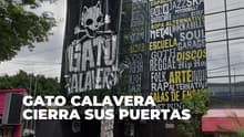 Gato Calavera anuncia que cerrará sus puertas en abril 2026; esto es lo que se sabe