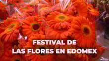 ¿Sin plan? Lánzate al Festival de las Flores 2026 en Tenancingo: habrá música, comida y más