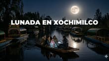Lunada en Xochimilco: ¿cuándo será y cuánto cuesta el recorrido nocturno?