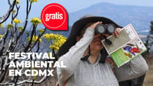 Habrá caminatas botánicas y observación de aves gratis en el Festival del Medio Ambiente de CDMX