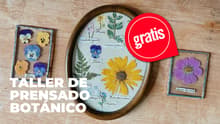 Aprende a crear tu propio herbario en este taller gratuito en CDMX: cuándo y dónde es