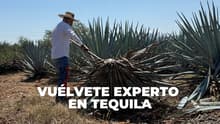 Vuélvete experto en Tequila