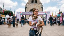 Adoptatón 2026 llega al Monumento a la Revolución: ¿cuándo es y qué habrá?