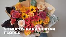 ¿Cómo hacer que las flores duren más? 5 trucos infalibles
