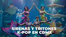 Sirenas y tritones inspirados en el K-pop llegarán al acuario en CDMX