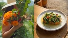 Este restaurante en Tepoztlán lleva la comida del huerto a tu mesa