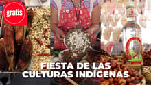 Ya hay fecha para la Fiesta de las Culturas Indígenas 2026: comida, música y artesanías en el Zócalo
