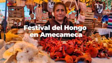 ¿Cuándo es el Festival del Hongo de Amecameca? Habrá degustaciones, conciertos gratis y más