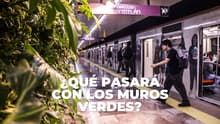 Sustituirán plantas de muros verdes del Metro si no funcionan: así será su mantenimiento