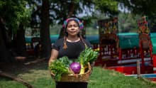 Volver al origen: Mercado Alternativo de Xochimilco
