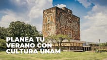 Planea tu verano con actividades de Cultura UNAM