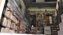 La librería de viejo más antigua de CDMX y su cara oculta 