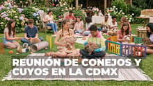 Regresa la adorable reunión de conejos y cuyos en la CDMX con entrada GRATIS: ¿cuándo y dónde será?