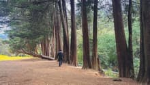 Vacaciones de verano en la CDMX: seis áreas naturales para disfrutar en familia