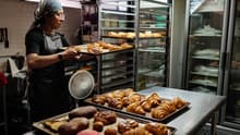 Miga Vegana: Panadería Artesanal y cocción de oportunidades