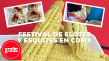Elotes, esquites, gastronomía chinampera y ajolotario: así será el Festival Ax-Elote en CDMX