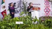 Sembrarán 6.6 millones de árboles y plantas en un día: así será la Jornada Nacional de Reforestación