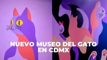 ¡Miaugnífico! Así es el Museo del Gato, el nuevo palacio de los michis en CDMX; ¿cuándo abre?