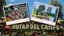 Rutas del Campo: descubre el lado de Xochimilco que pocos turistas conocen