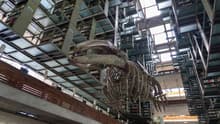 La Biblioteca Vasconcelos celebra sus 20 años con un festival lleno de libros, música y arte: checa cuándo