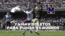 Boletos para Pumas vs Burros Blancos costarán $150: checa cuándo, cómo y dónde comprarlos