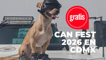 Carrera con perros, adopciones y conoce al Comando Chihuahua: así será el Can Fest en CDMX