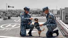 Comando Chihuahua, el elemento más perrón de la Guardia Nacional, estará en desfile del 16 de septiembre