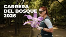 Carrera del Bosque 2026: corre por Chapultepec de noche y ayuda al orquideario; rutas