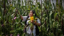 Trabajo de cuidados: la labor invisible que sostiene la vida