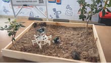Jóvenes de Zumpango hacen historia con sus proyectos de robótica en Australia